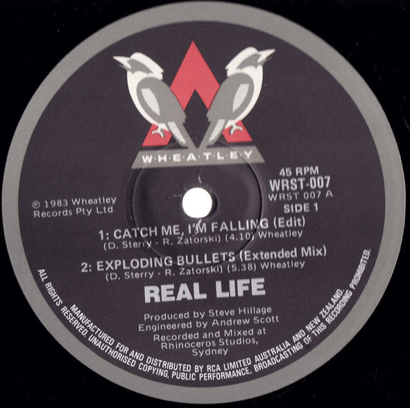 Real Life : Catch Me I'm Falling (Extended Mix) (12", Ltd)