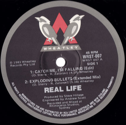 Real Life : Catch Me I'm Falling (Extended Mix) (12", Ltd)