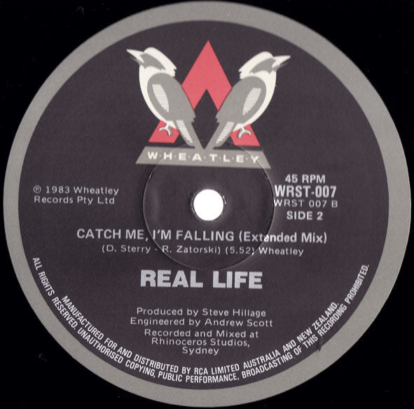 Real Life : Catch Me I'm Falling (Extended Mix) (12", Ltd)
