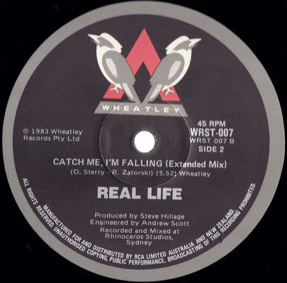 Real Life : Catch Me I'm Falling (Extended Mix) (12", Ltd)