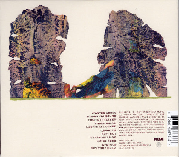 Grizzly Bear : Painted Ruins (CD, Album)