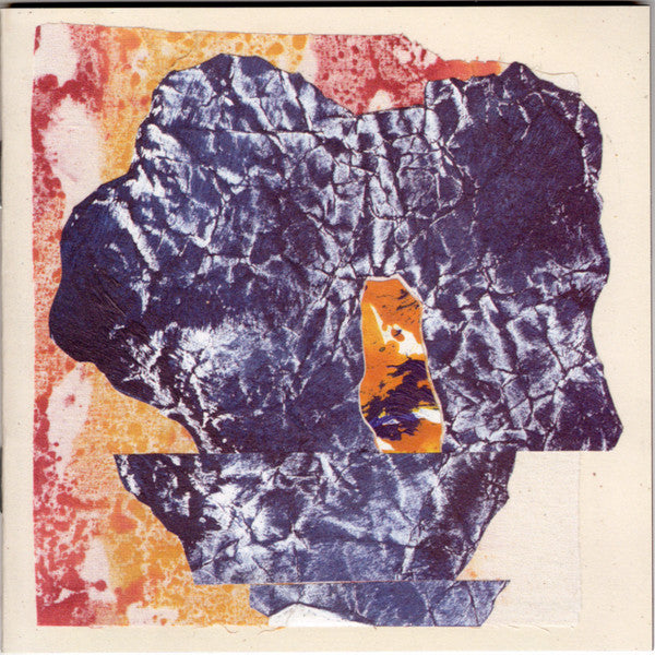 Grizzly Bear : Painted Ruins (CD, Album)