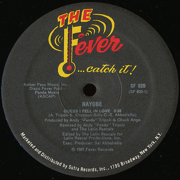 Nayobe : Guess I Fell In Love (12")
