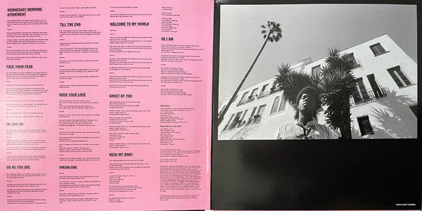 Curtis Harding : Face Your Fear (LP, Album)