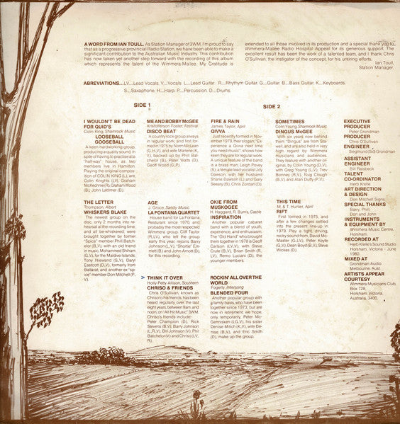 Various : Hometown Album Volume 1 (LP, Comp, Ltd)