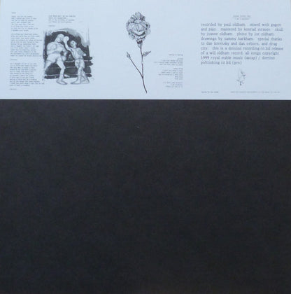 Bonnie 'Prince' Billy* : I See A Darkness (LP, Album, RP)