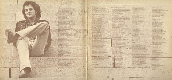 Wolfgang Ambros : Eigenheiten (LP, Album, Gat)