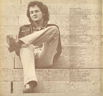 Wolfgang Ambros : Eigenheiten (LP, Album, Gat)