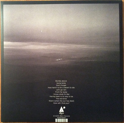 Jeff Tweedy : Warm (LP, Album)