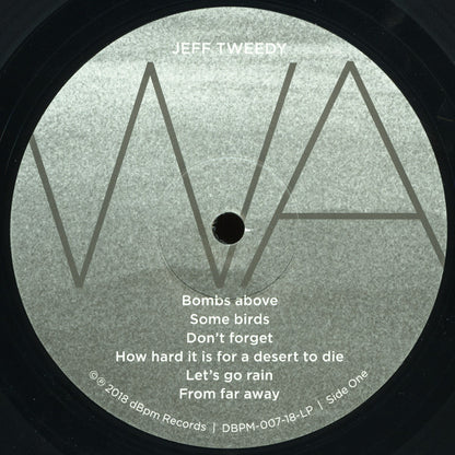 Jeff Tweedy : Warm (LP, Album)