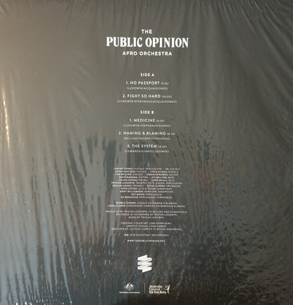 The Public Opinion Afro Orchestra : Naming & Blaming (LP, Album)