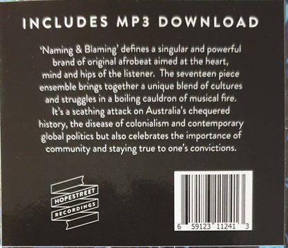 The Public Opinion Afro Orchestra : Naming & Blaming (LP, Album)