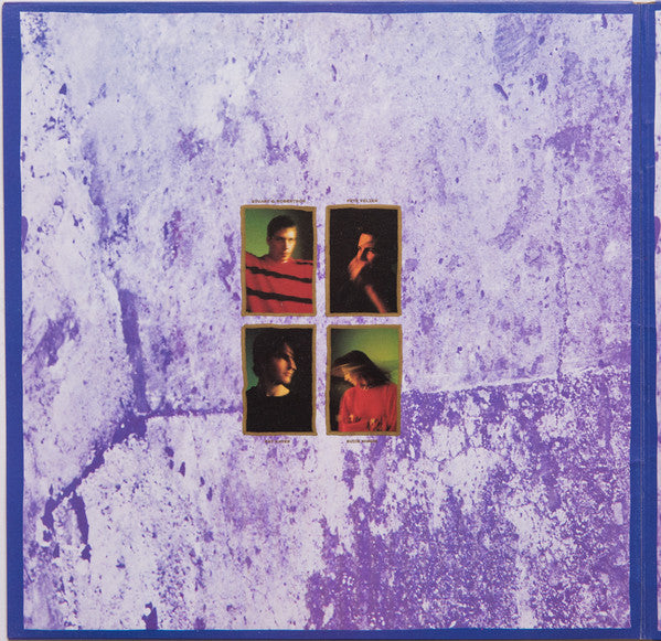 Falling Joys : Wish List (LP, Album)