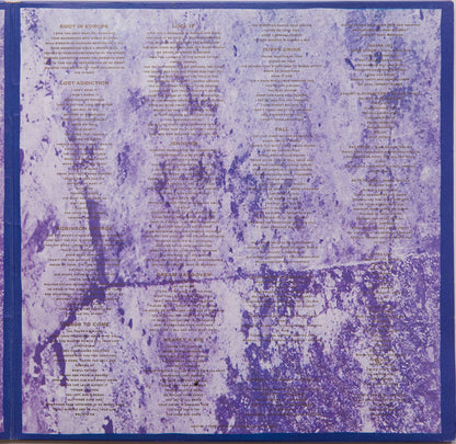 Falling Joys : Wish List (LP, Album)