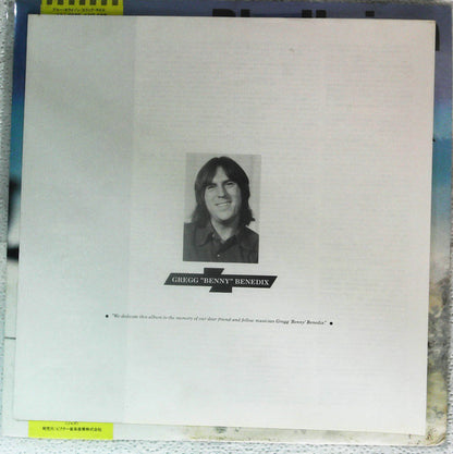 The Corbin Hanner Band : For The Sake Of The Song (LP)