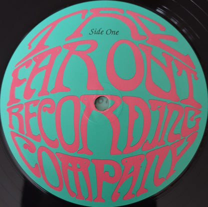 The Wonder Stuff : Don't Let Me Down, Gently (12")
