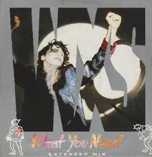 INXS : What You Need (Extended Mix) (12", Maxi)
