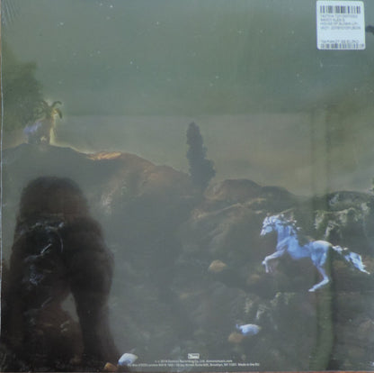 (Sandy) Alex G* : House Of Sugar (LP, Album)