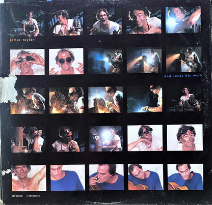 James Taylor (2) : Dad Loves His Work (LP, Album)
