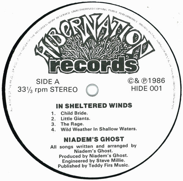Niadem's Ghost : In Sheltered Winds (LP, Album)