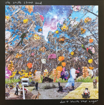 The Smith Street Band :  Don't Waste Your Anger (LP, Album, Vio)