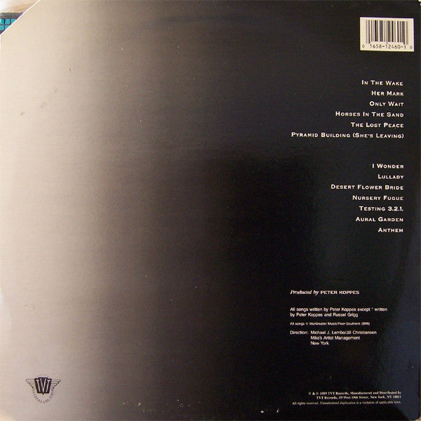Peter Koppes : From The Well (LP, Album)