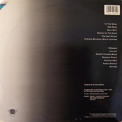 Peter Koppes : From The Well (LP, Album)