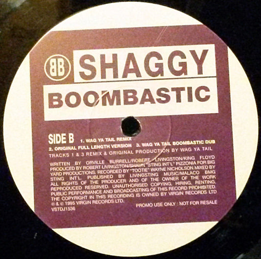 Shaggy : Boombastic (12", Promo)