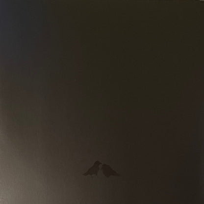 Sigur Rós With Steindór Andersen, Hilmar Örn Hilmarsson And María Huld Markan Sigfúsdóttir : Odin's Raven Magic (2xLP, Album)
