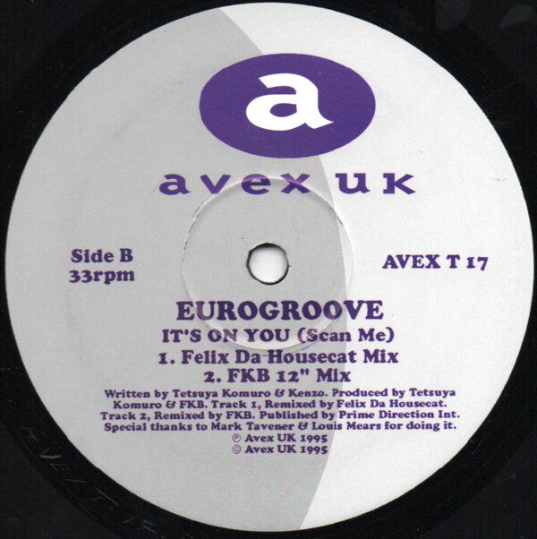 Eurogroove : It's On You (Scan Me) (12", Single)