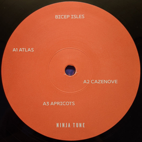 Bicep : Isles (2xLP, Album, Gat)