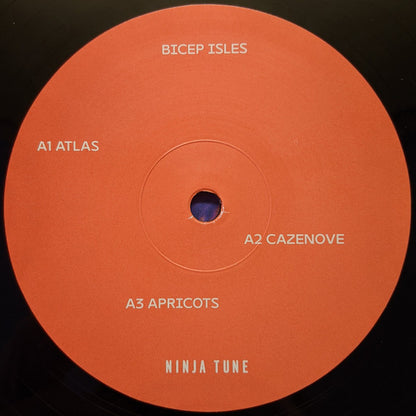 Bicep : Isles (2xLP, Album, Gat)
