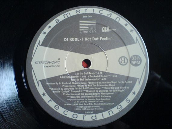 DJ Kool : I Got Dat Feelin' (Remix) (12")