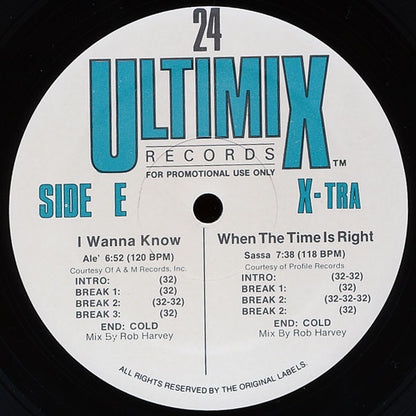 Various : Ultimix 24 (3x12", Comp, Promo)