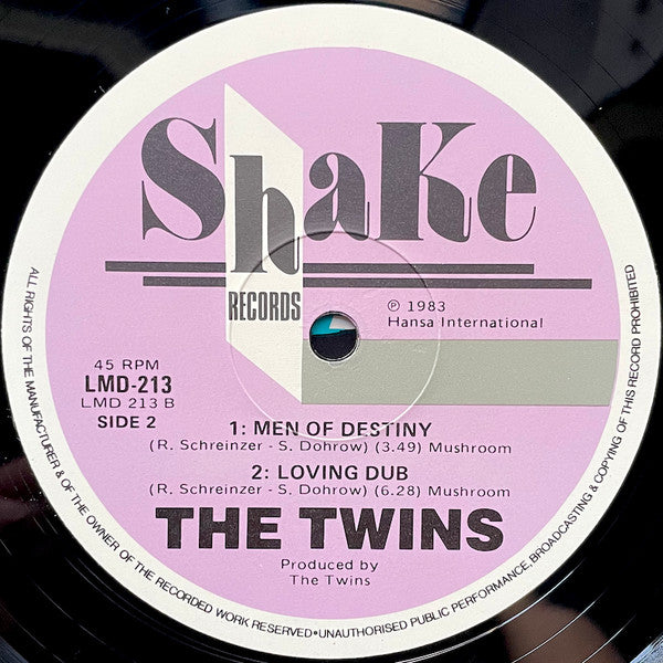 The Twins : Not The Loving Kind (12", Single)