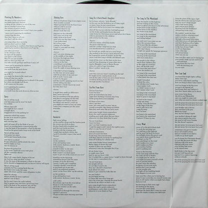 James McMurtry : Too Long In The Wasteland (LP, Album)