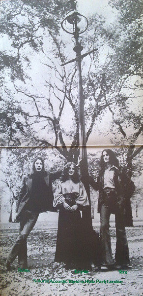 Natural Acoustic Band : Learning To Live (LP, Album)