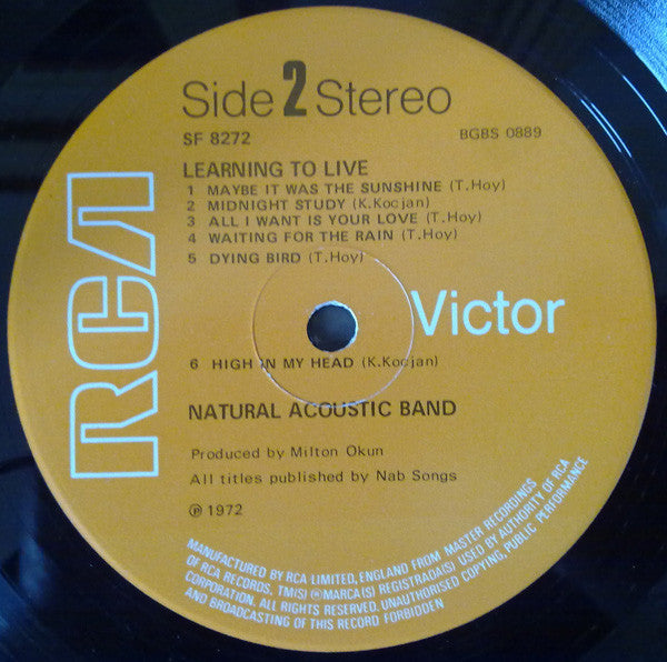 Natural Acoustic Band : Learning To Live (LP, Album)