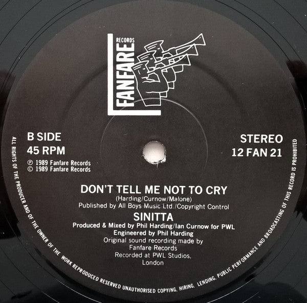 Sinitta : Love On A Mountain Top (An Everlasting Knight Mix) (12", Single)