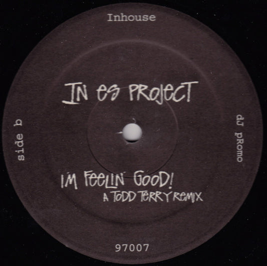 In Es Project : I'm Feelin' Good! (12", Promo)