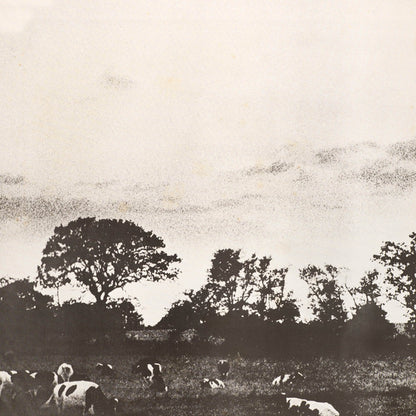 Pink Floyd = Pink Floyd : Atom Heart Mother = 原子心母 (LP, Album, Tex)