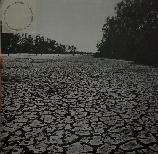Various : PRO DJ (12", Comp, Promo)