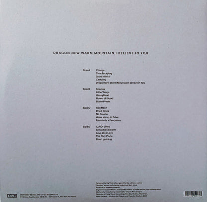 Big Thief : Dragon New Warm Mountain I Believe In You (2xLP, Album)