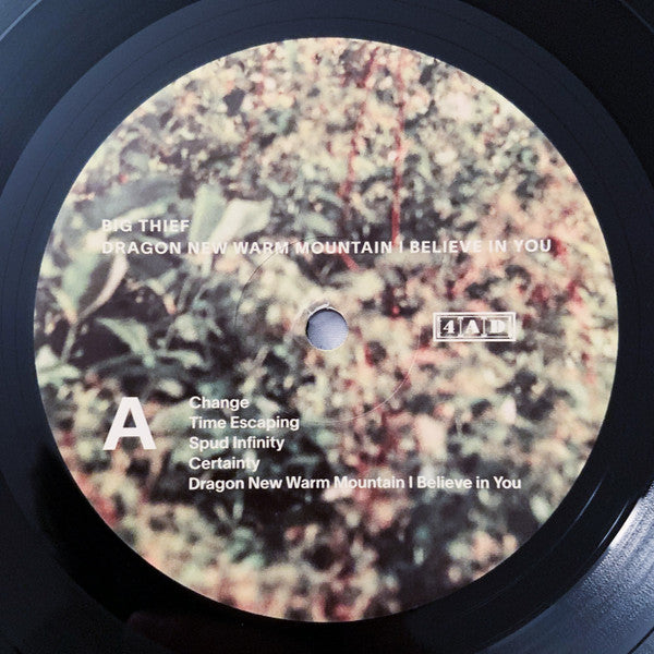 Big Thief : Dragon New Warm Mountain I Believe In You (2xLP, Album)