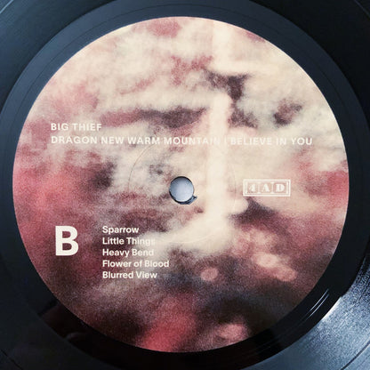 Big Thief : Dragon New Warm Mountain I Believe In You (2xLP, Album)