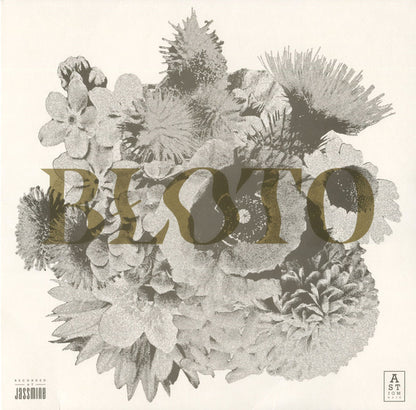Błoto (2) : Kwiatostan (LP, Album, RP)