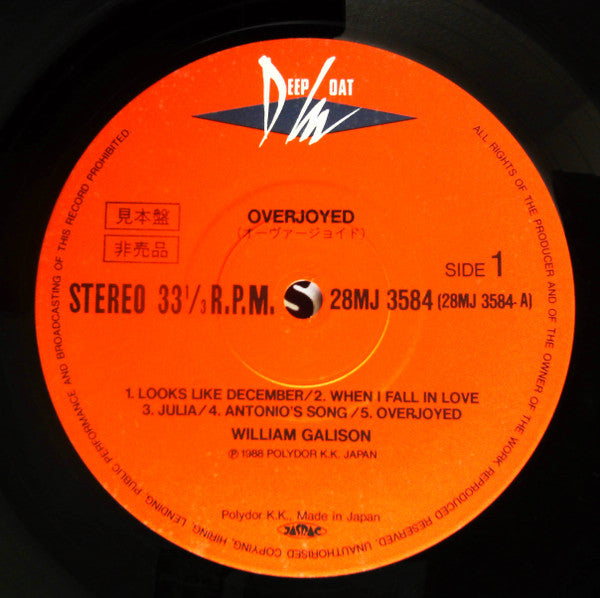 William Galison : Overjoyed (LP, Album, Promo)