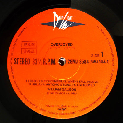 William Galison : Overjoyed (LP, Album, Promo)