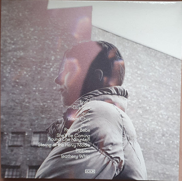 Aldous Harding : Warm Chris (LP, Album)