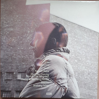Aldous Harding : Warm Chris (LP, Album)